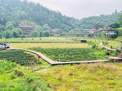 -程阳八寨景区