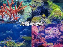 -广州长隆野生动物世界