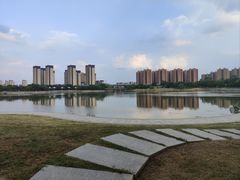 -映月湖中央公园