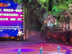 -广州长隆国际大马戏