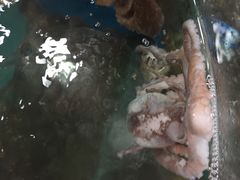 -四海鲜渔家菜(黄金海岸店)