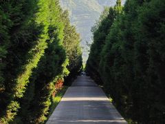 -秦始皇帝陵博物院-丽山园