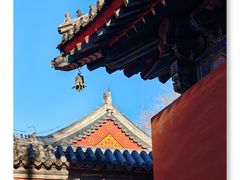 -北京艺术博物馆(万寿寺)