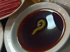 生吃羊肉蘸料-洪运轩饭庄(北纬路店)