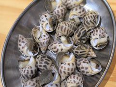 -阿鸡鱼庄·顺德鲜蒸小炒(亚运村店)