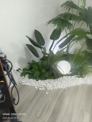 -HEYAN荷妍专业脱毛连锁机构