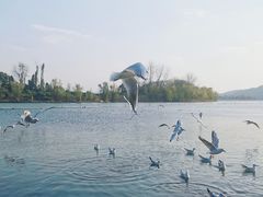 -渤公岛生态公园