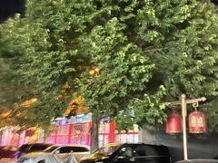 -华声天桥民俗文化园