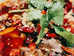 -辛香汇·现炒川菜(淮海路百盛店)