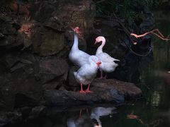 -兰亭风景区