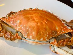 -赶海部落海鲜城(海阳路店)