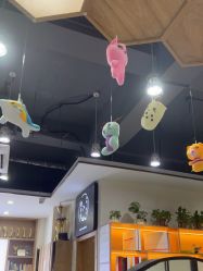 -心联形象设计·流星染