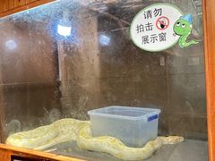 -上海大自然野生昆虫馆(东方明珠·爬宠昆虫探索中心)