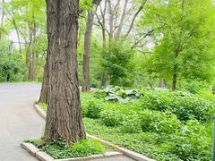 -沈阳植物园