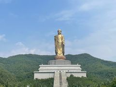-中原大佛景区