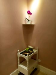 -悦己堂美容养生SPA