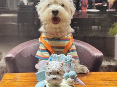 -百好乐宠物友好餐厅(朝外大街店)