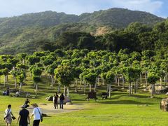 -龙洞风景区-藏龙涧