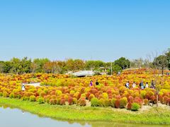 -花开海上生态园