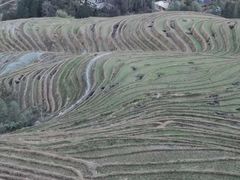 -龙脊梯田风景名胜区游客中心-停车场