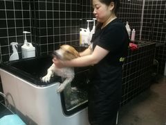 -Goku PET SHOP宠物视觉生活馆(双井店)