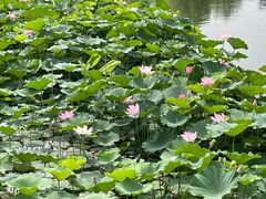 -西海子公园