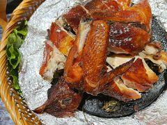 油茶鸡-凤凰山斑鱼馆(恭城店)