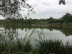 -白鹭湾湿地公园