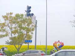 -三圣花乡旅游区