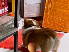 -小梁哥云吞面(黄贝岭店)