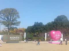 -桃花岭景区