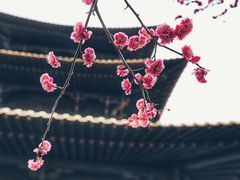 -广富林郊野公园