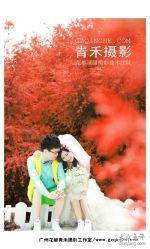-青禾婚纱摄影工作室(龙珠路店)