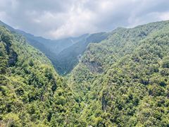 -苍山感通索道