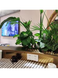 -本小姐美学·半永久纹眉野生眉