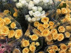 -循礼门鲜花花市(武汉循礼门店)