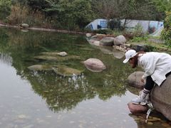 -保利石象湖景区