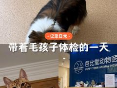 -芭比堂动物医院(大兴郁兴分院)