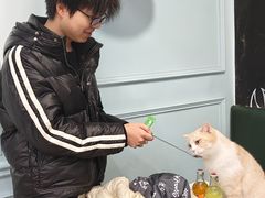 -安格丽娜·狗咖·猫咖羊驼咖(春熙路百盛商场店)
