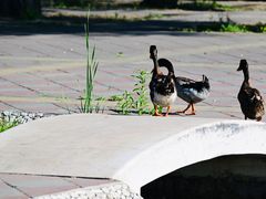 -太阳宫公园