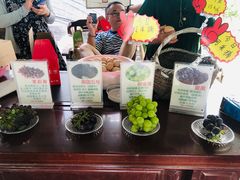 -马陆小张葡萄园农家乐