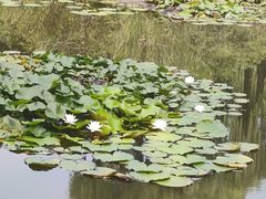 -淄博聊斋城景区