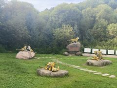 -横道河子东北虎林园