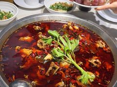 -蛙蛙鸡冷锅鱼(驷马桥店)