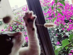 -吉姆餐厅