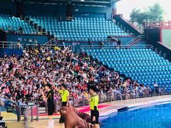 -珠海横琴长隆《卡卡虎奇遇记》