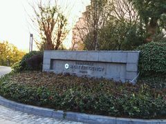 -上海崇明金茂凯悦酒店