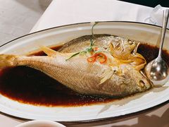 葱油蒸大黄鱼-羲和雅苑•北京烤鸭(陆家嘴中心店)