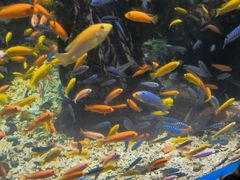 -太平洋海底世界