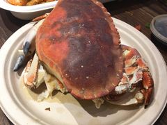面包蟹-盒马鲜生(龙德广场店)